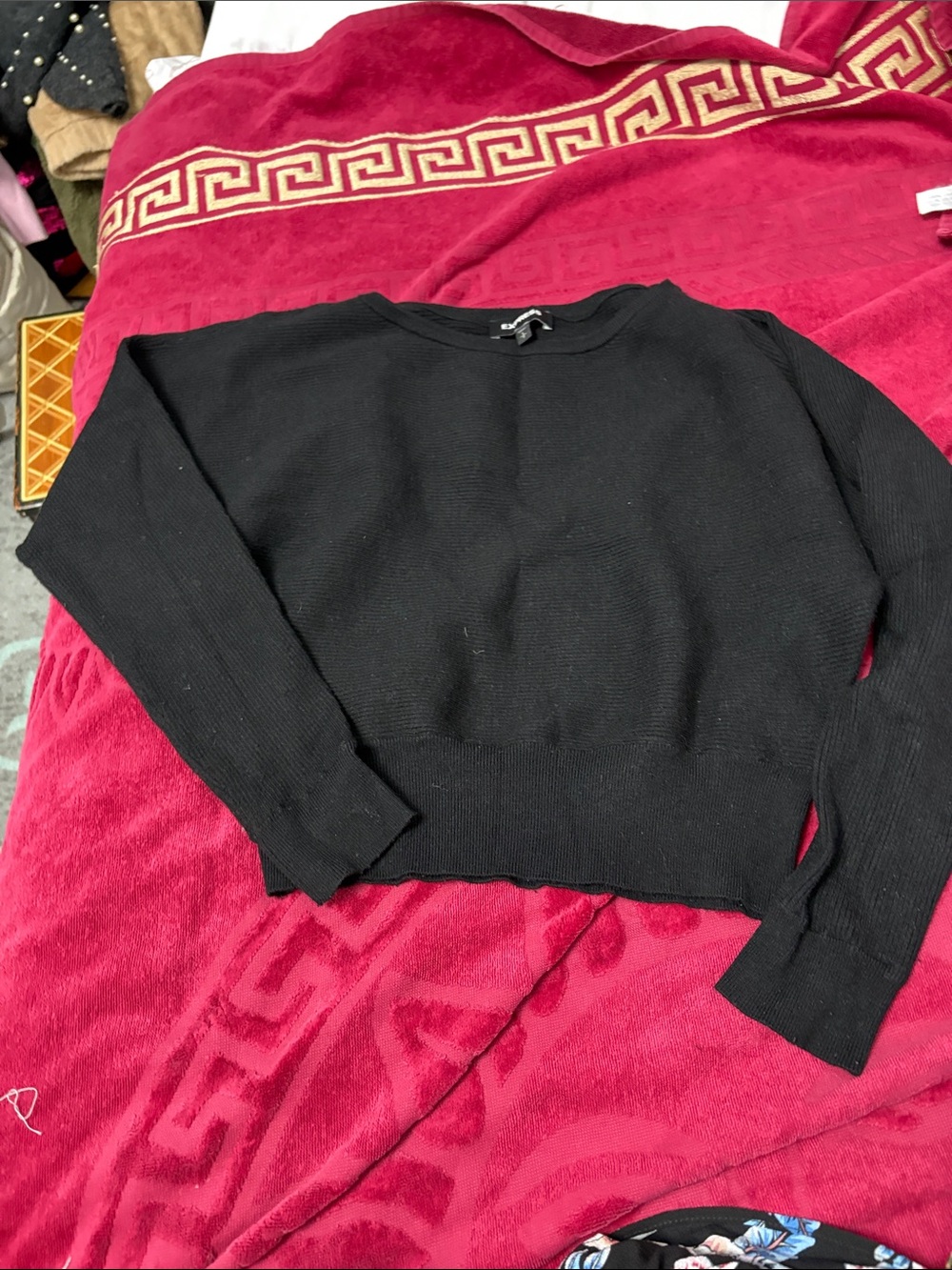 Express Black Cropped Crewneck Sweater